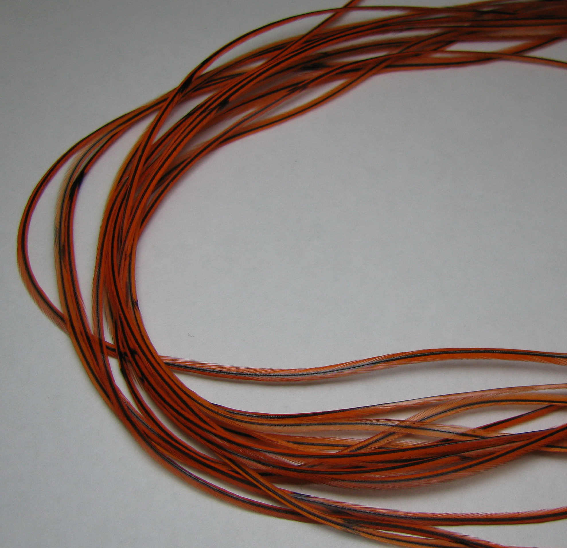 ���� Dry Fly (��� ����� ���) 10 �� ������ ���������  , ������ � 20-22